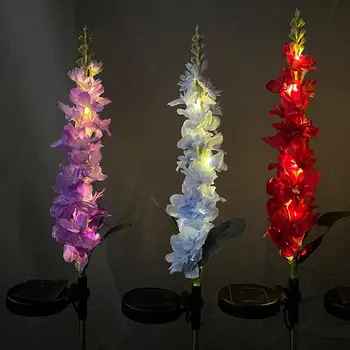 Ustvariti Vzdušje, Lepa Delphinium Cvet Sončne Svetlobe Vrtu Okrasni Vrt Dobave